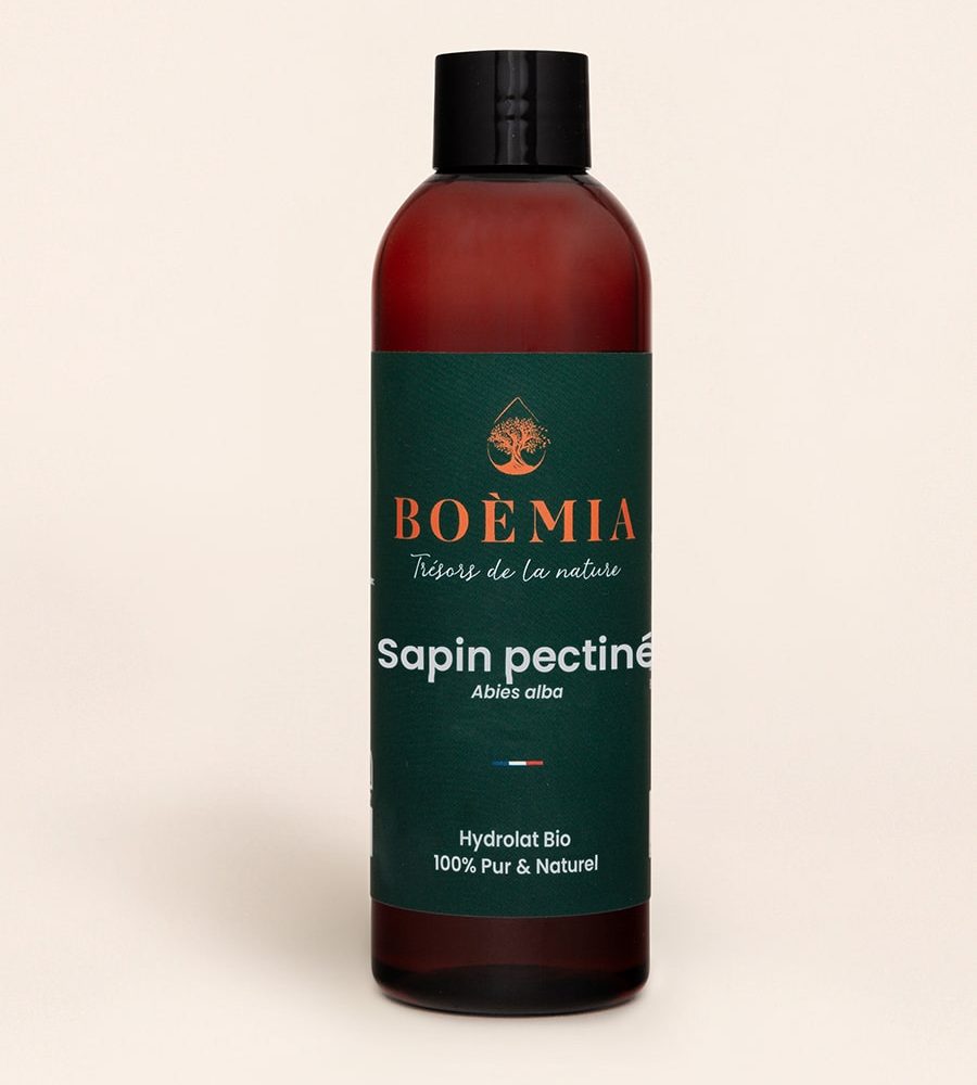 sapin-pectine